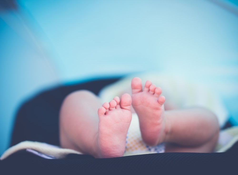 Embrione Umano: Un Viaggio Straordinario Dall'Inizio della Vita