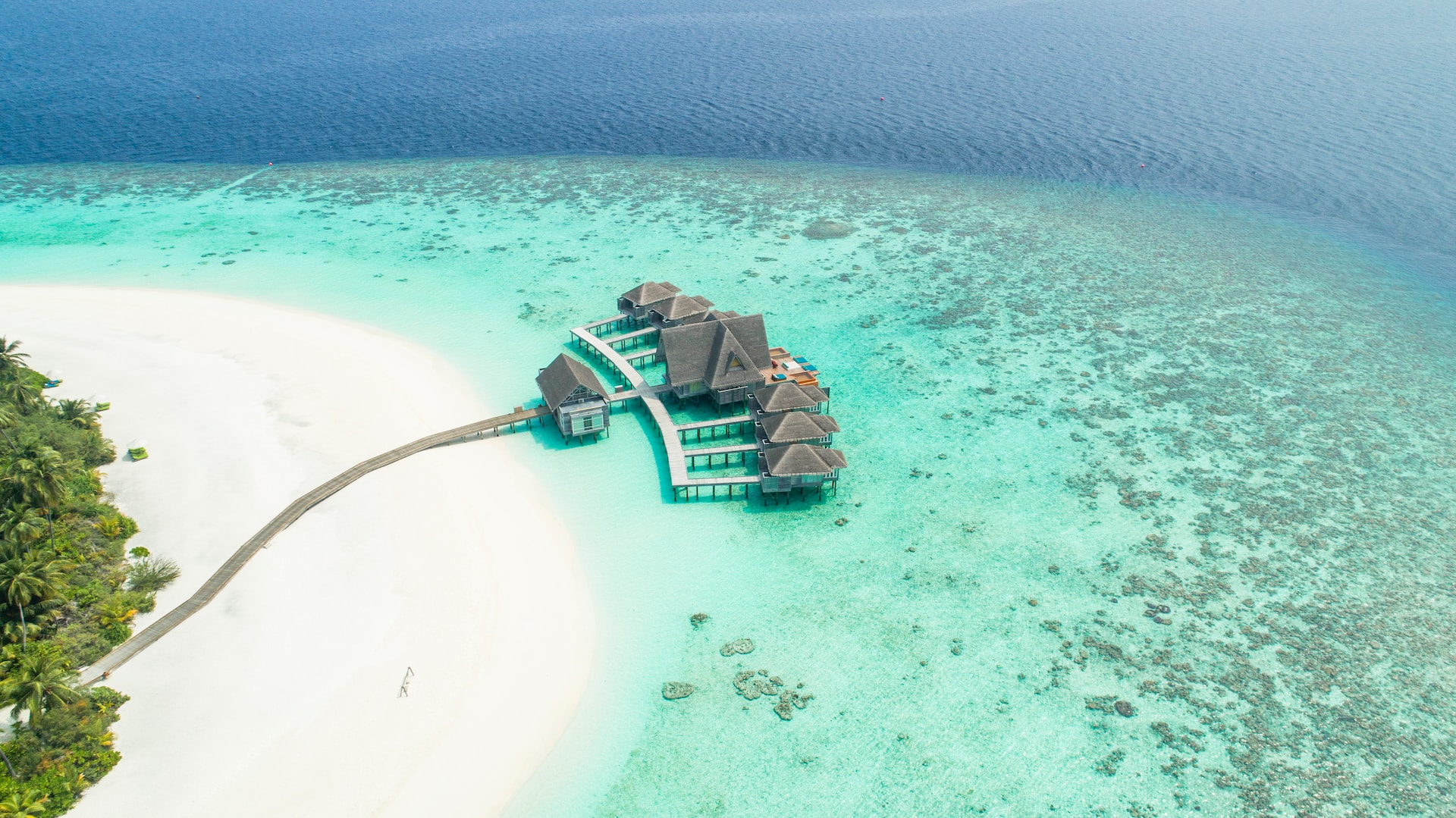 Scopri l'Incantevole Atollo di Baa: Un Tesoro Naturale delle Maldive