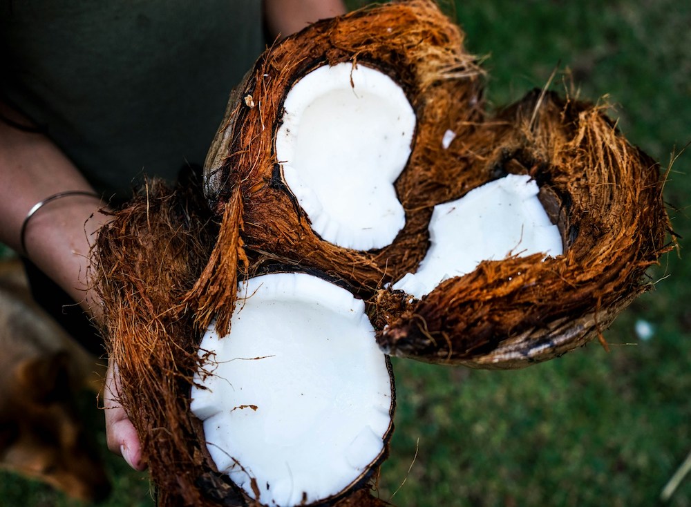 Olio di Cocco: Un Elixir Naturale per la Cura dei Capelli